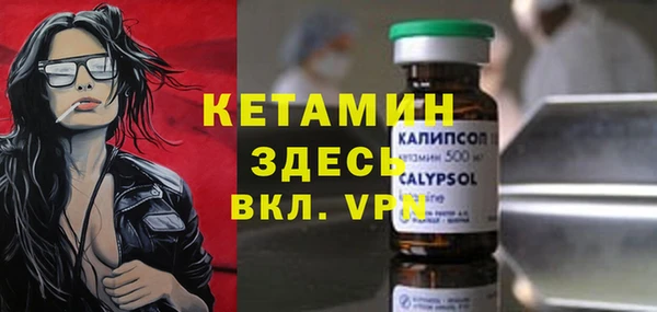 spice Инта