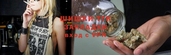 стаф Инсар