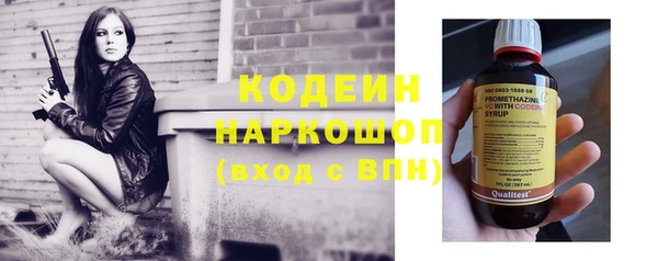 spice Инта