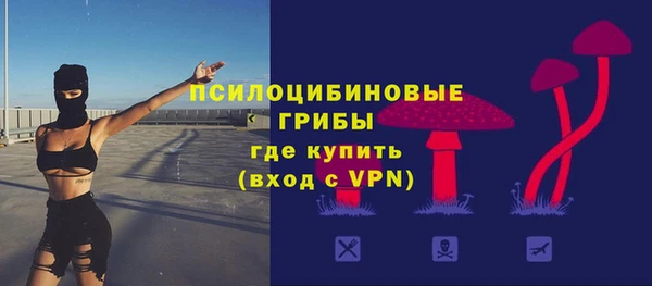 стаф Инсар
