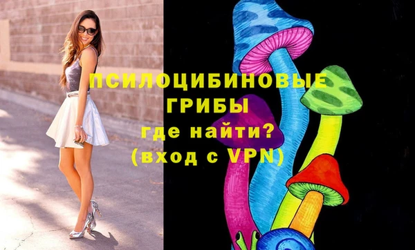стаф Инсар