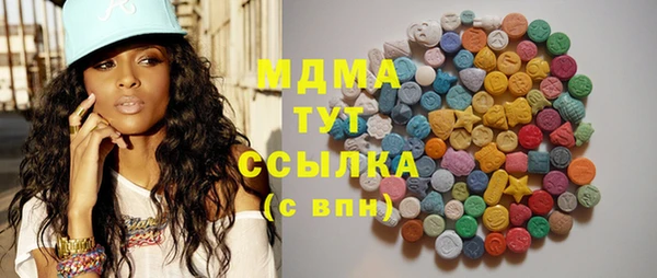 spice Инта