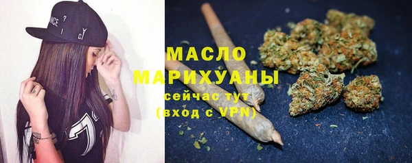 spice Инта