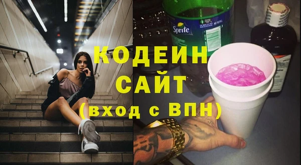 spice Инта