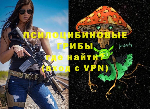 spice Инта