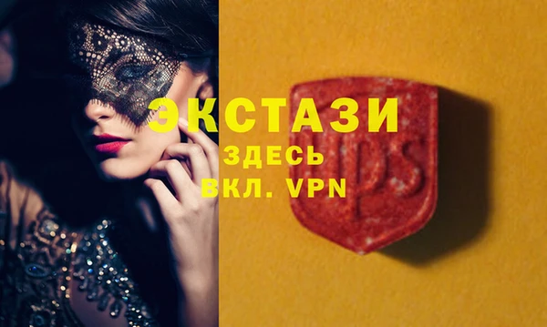 spice Инта