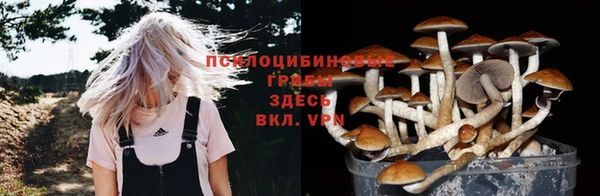 крисы Иннополис