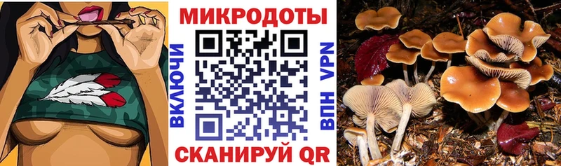 Псилоцибиновые грибы ЛСД  Купить  Приозерск 